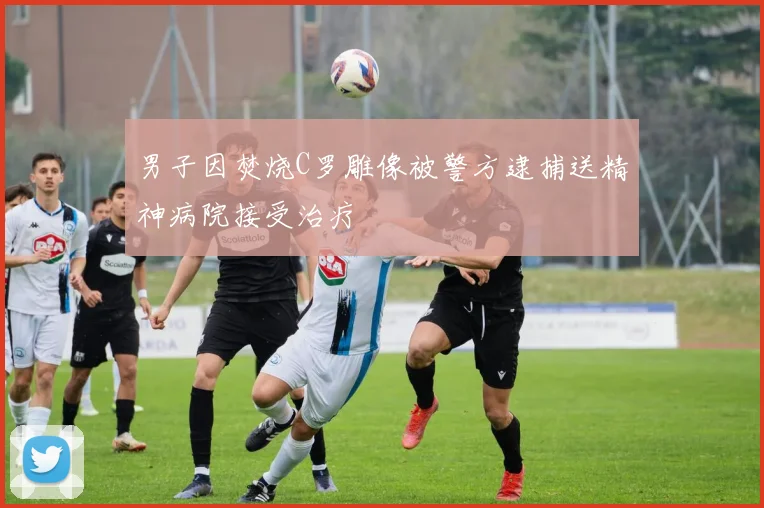 男子因焚烧C罗雕像被警方逮捕送精神病院接受治疗