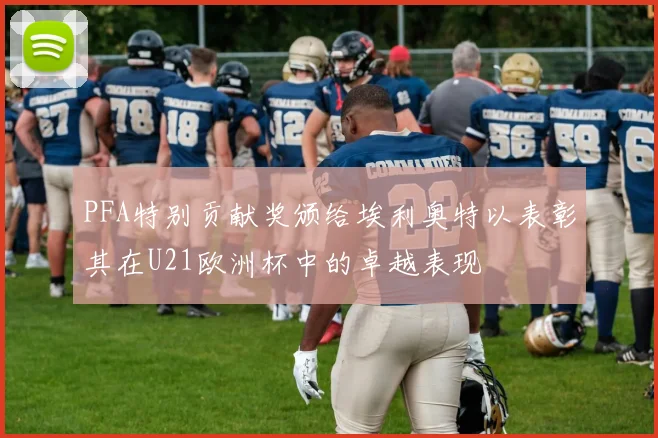 PFA特别贡献奖颁给埃利奥特以表彰其在U21欧洲杯中的卓越表现