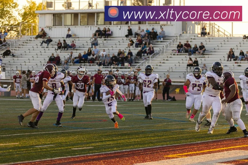 新利体育服务体系